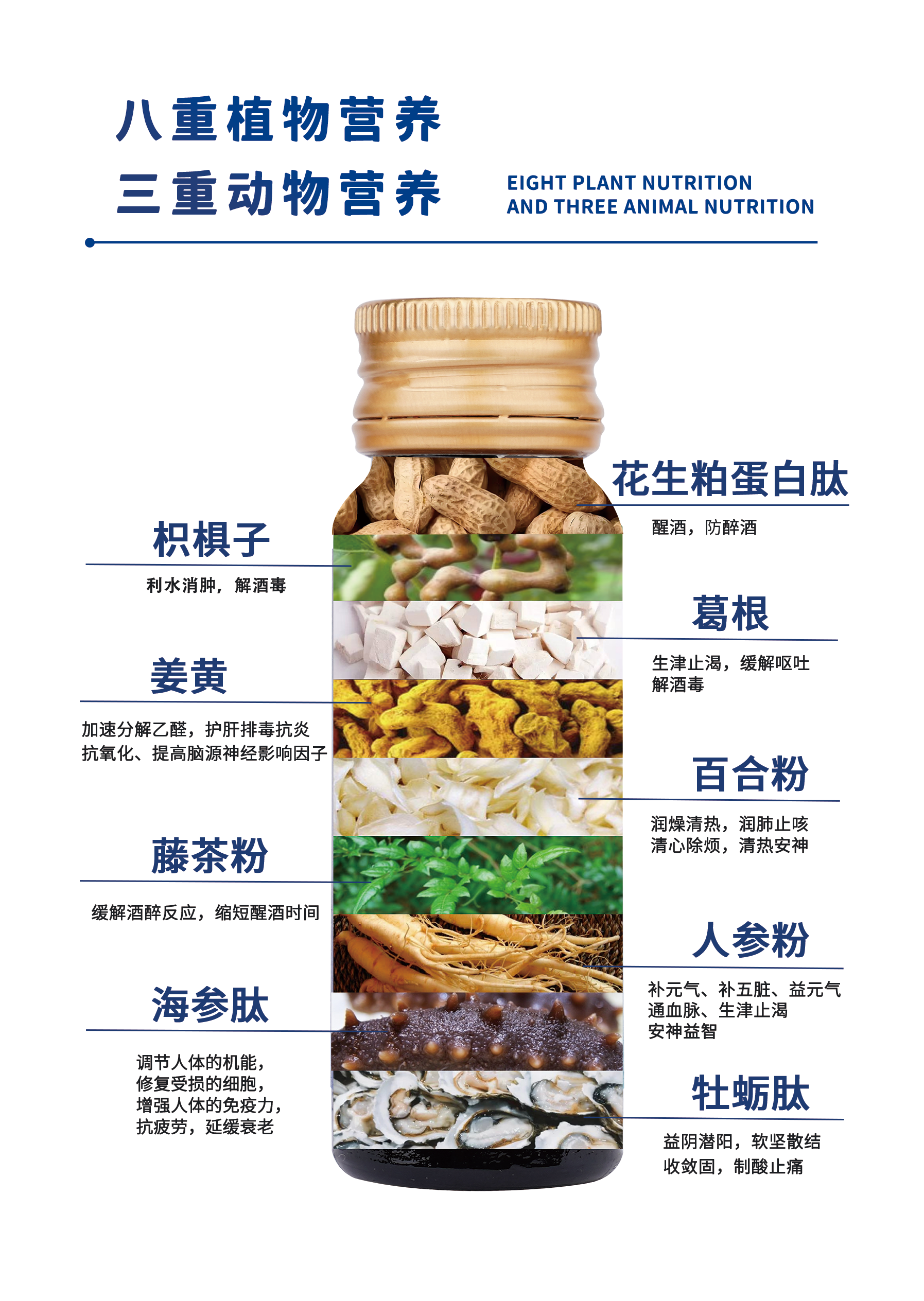 客户内页反面面.png